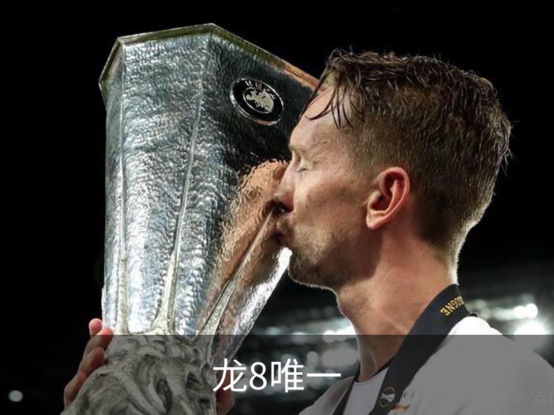 龙8唯一介绍